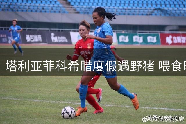 塔利亚菲科希腊度假遇野猪 喂食时意外被轻咬