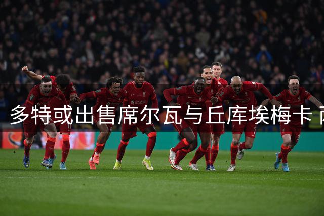多特或出售席尔瓦与丘库埃梅卡 两人或今夏离队