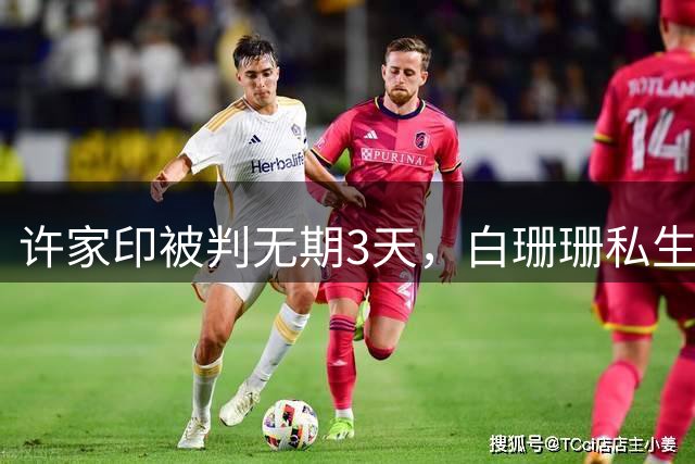 许家印被判无期3天，白珊珊私生活被扒，被曝低调嫁给了这个男人